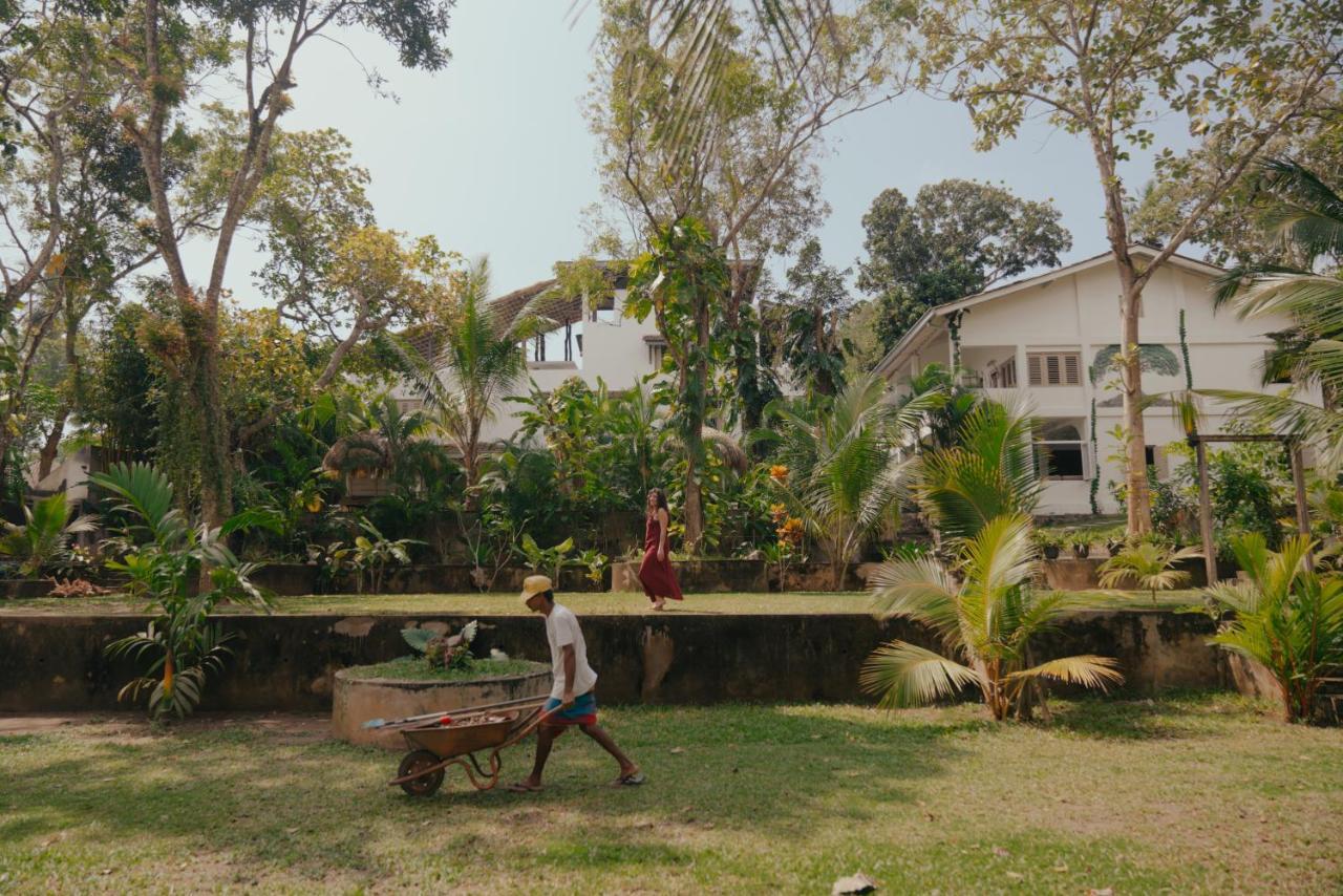Kirinuga Boutique Retreat Hotel Tangalle Kültér fotó