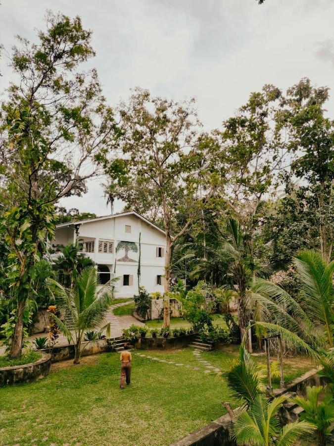 Kirinuga Boutique Retreat Hotel Tangalle Kültér fotó